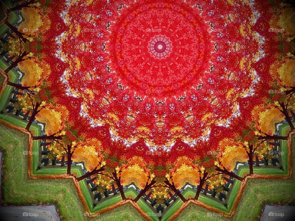 A Kaleidoscope  of Autumn with colorful leaves