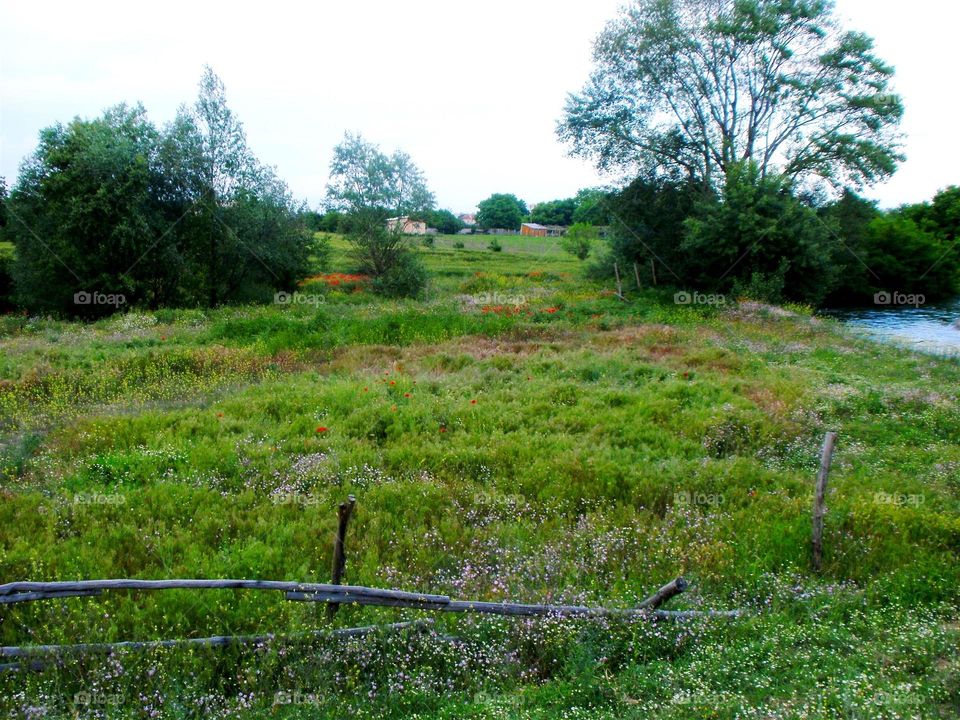 Rural Spring in Bulgaria