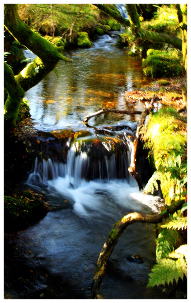 Water, Waterfall, Nature, River, Stream
