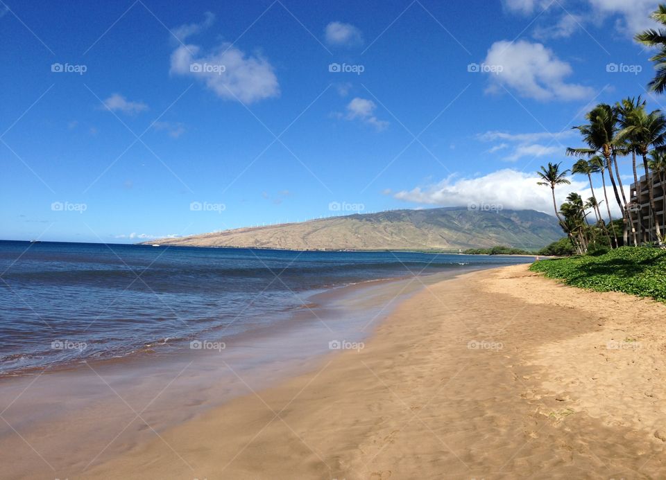 Scenic view of beach at Hawaii Island