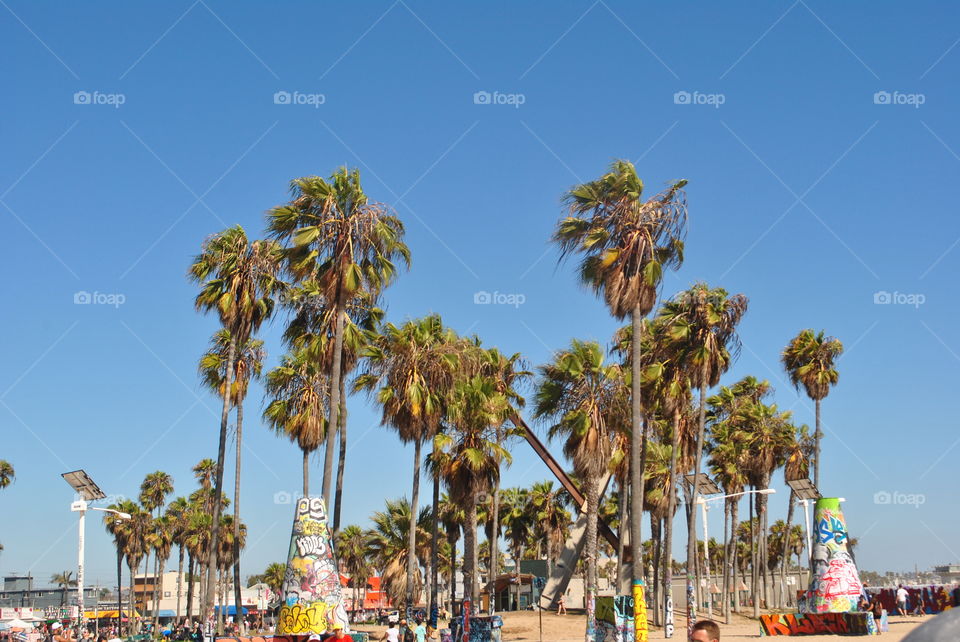 Beautiful view at Venice beach