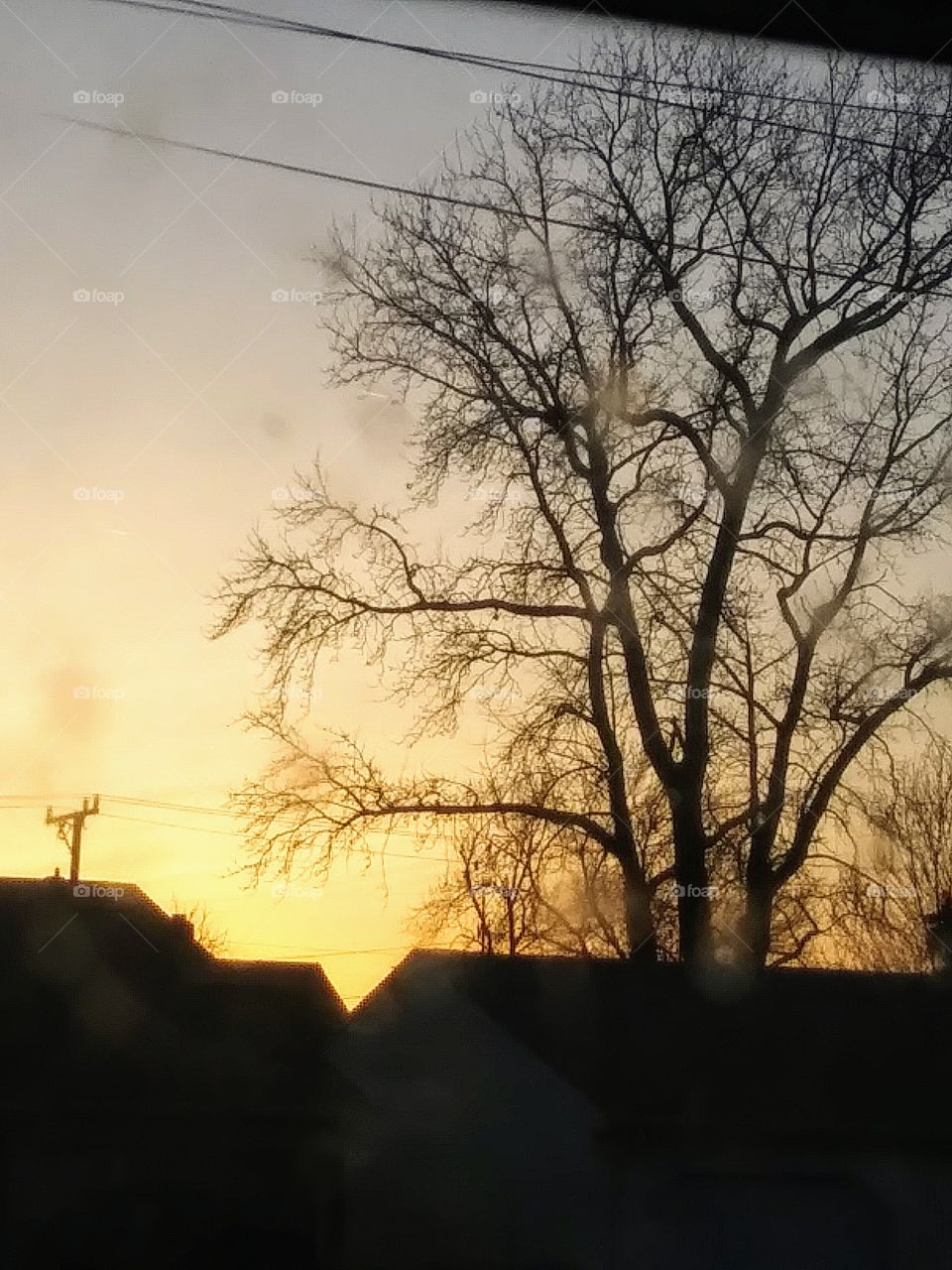 sunset with trees through a dirty window