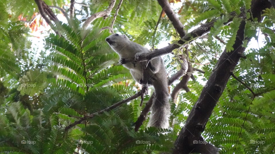 What are you looking for...