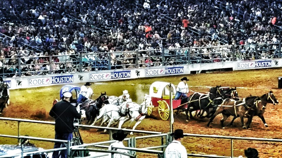 Wagon Racing at the Houston Livestock Show and Rodeo