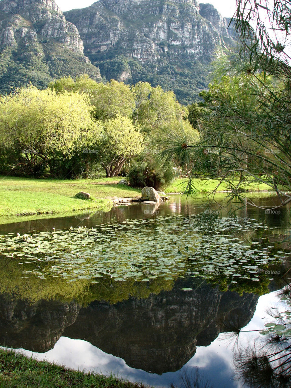 table mountain pond park by gatordukie