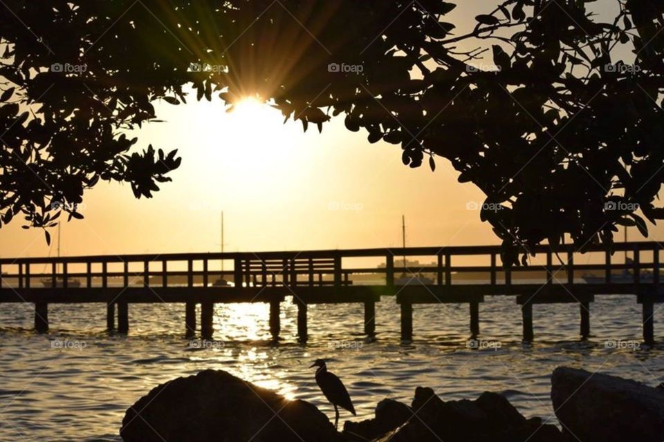 Love how I captured the bird sitting on the rock, along with the pier during sunset