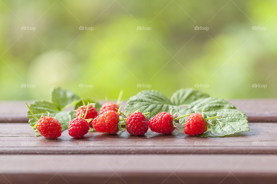 Freshly picked delicious raspberries