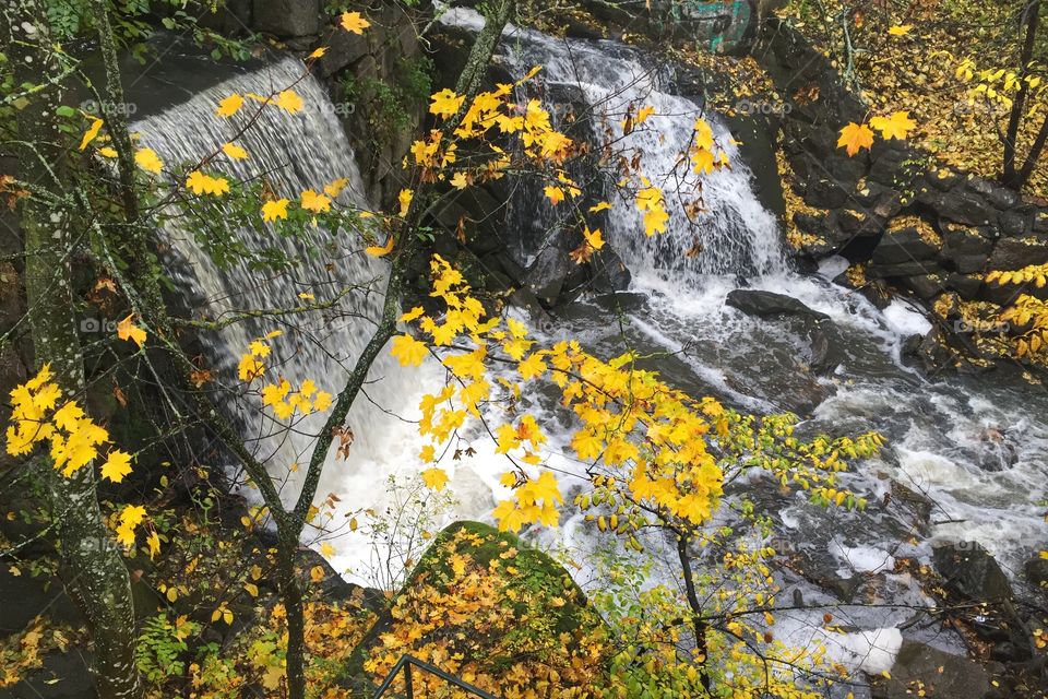 Autumn trees and waterfalls