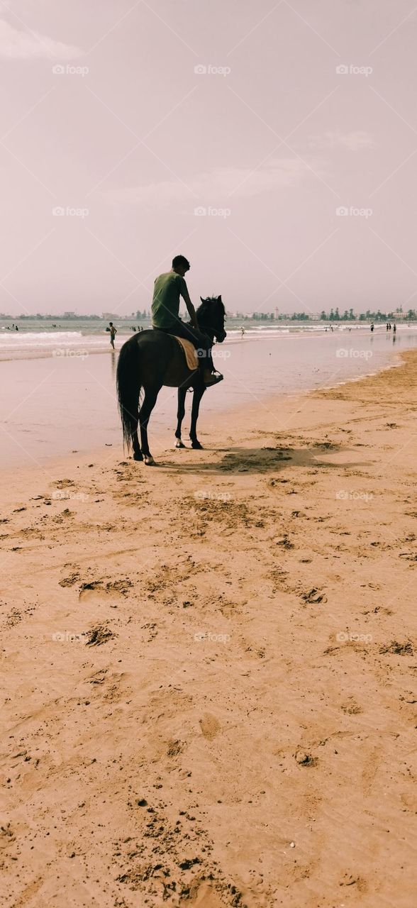 an adult man on a horseback near the beach at essaouira city in Morocco.