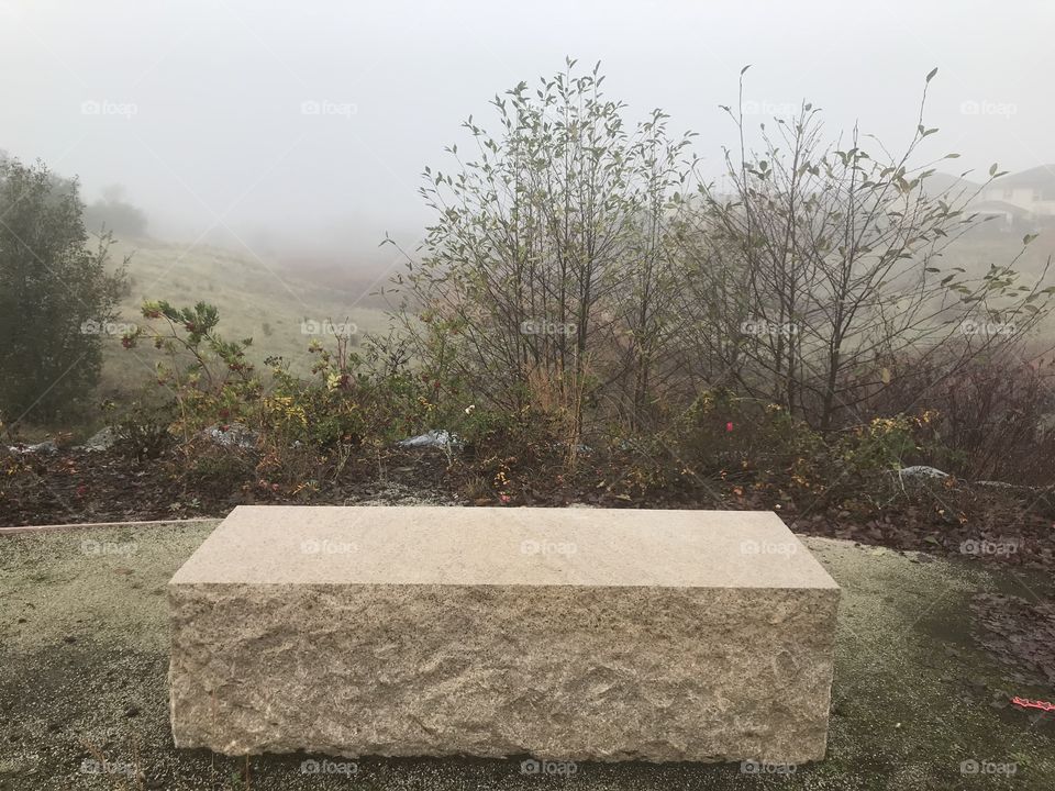 Take a seat on a stone bench located in the woods amongst the tall trees and colorful flowers USA, America 
