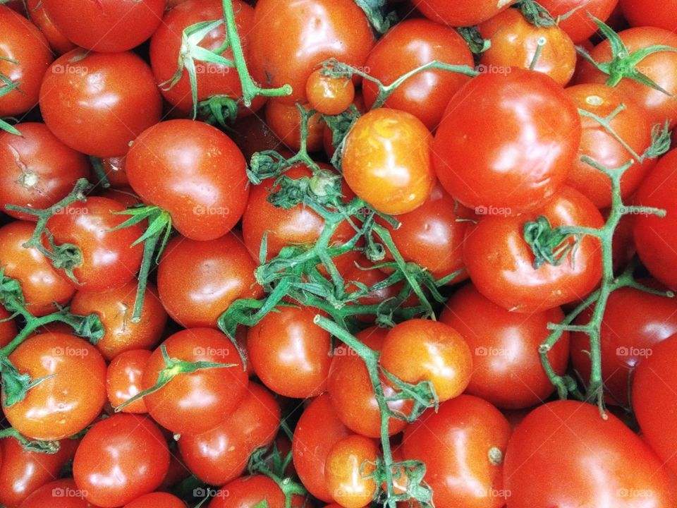 tomatoes