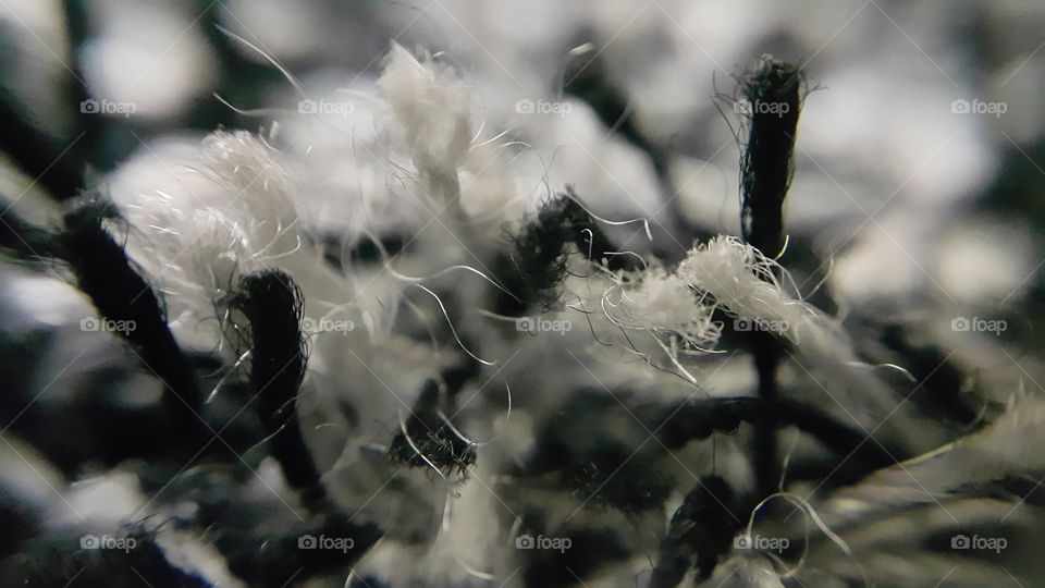carpet cotton. macro view of carpet cotton