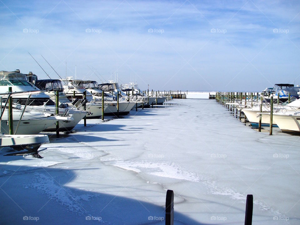 Frozen boats 