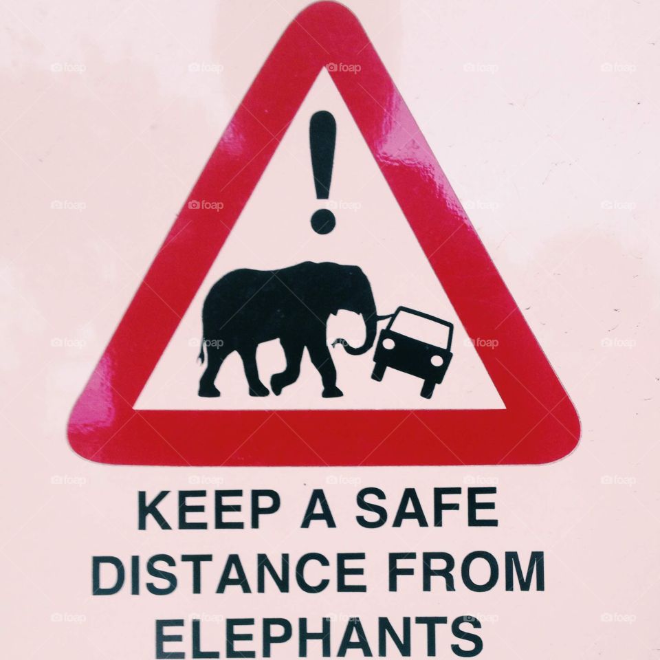 Funny Elephant Warning Sign