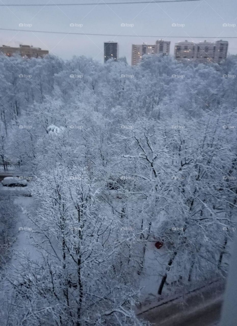 Вот и пришла зима красавица