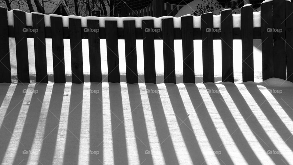 Snow Fence