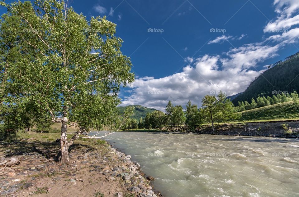 Chuya river, Altai