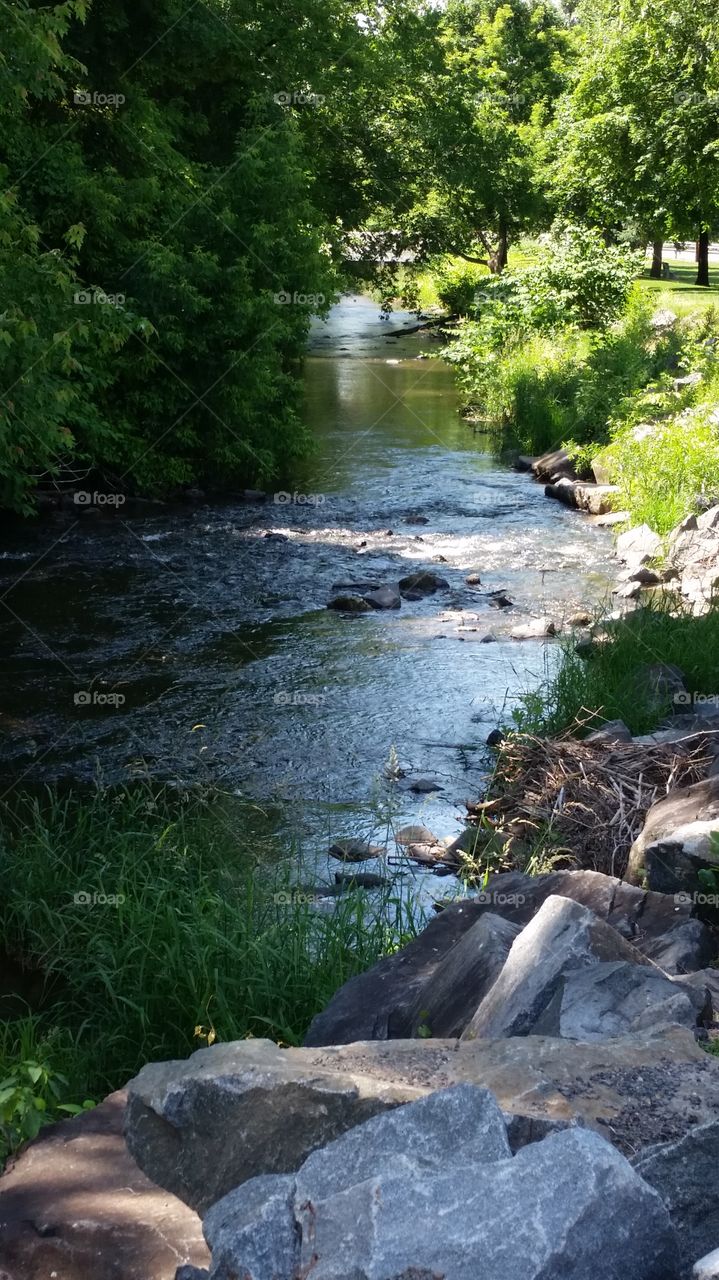 Hay Creek