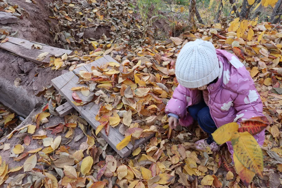 autumn