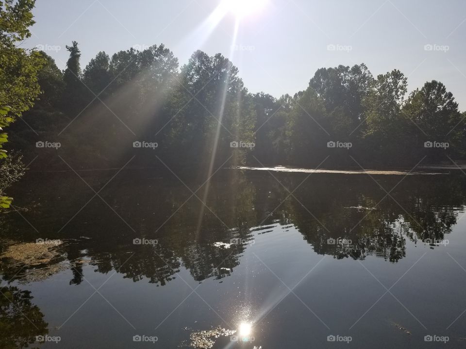 Sunshine on the lake