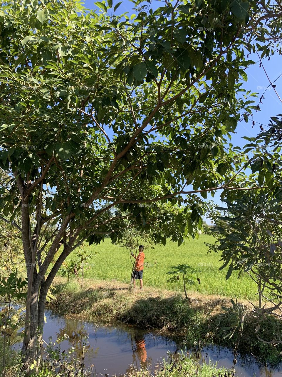 The stories of the nature, Countryside (Thailand)