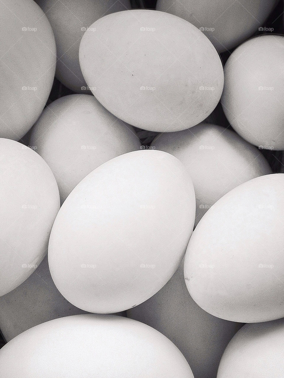 blackandwhite eggs bw farm by jonpunshon90