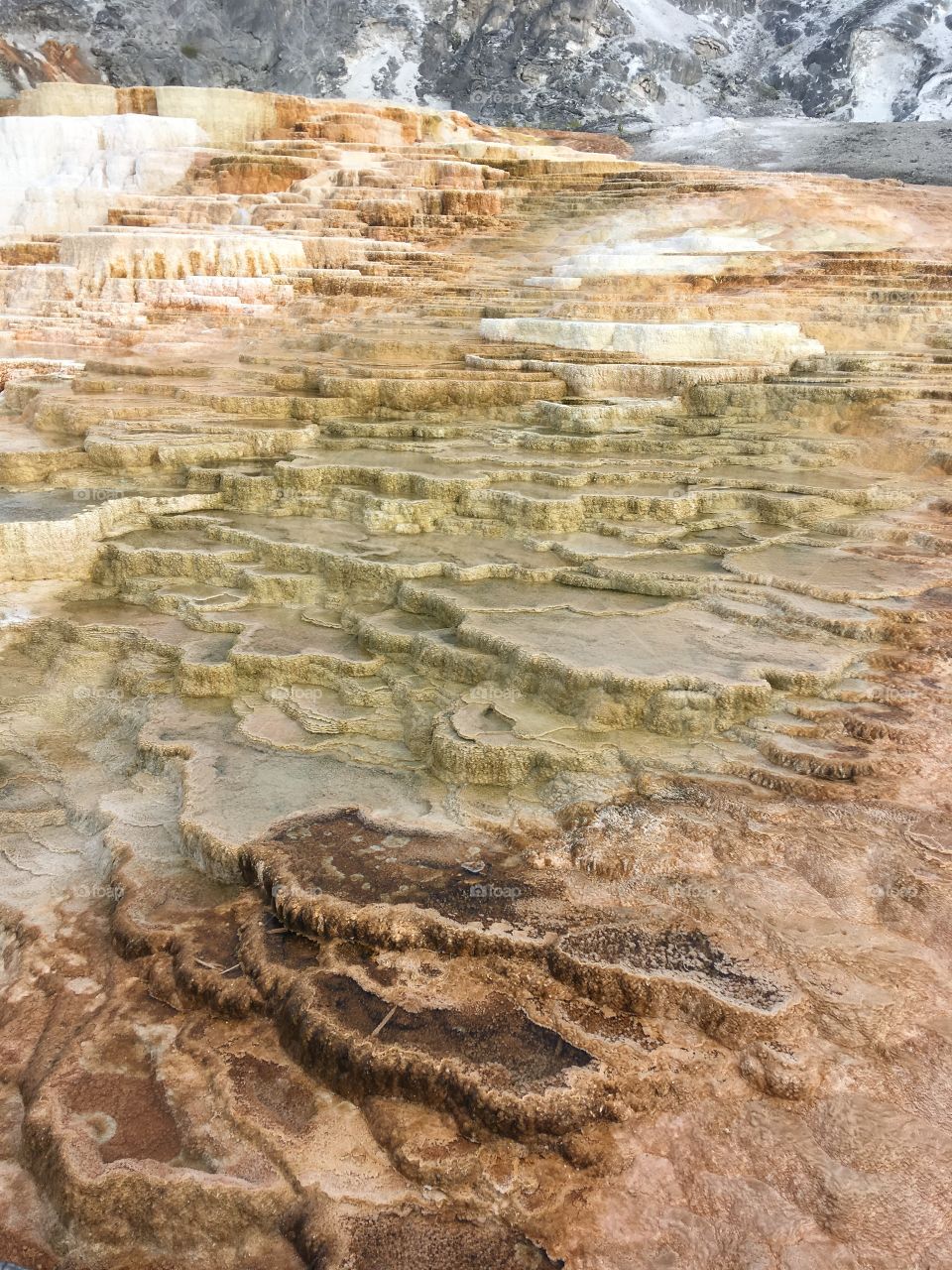 Travertine terraces of Mammoth hot springs, Yellowstone National Park, USA