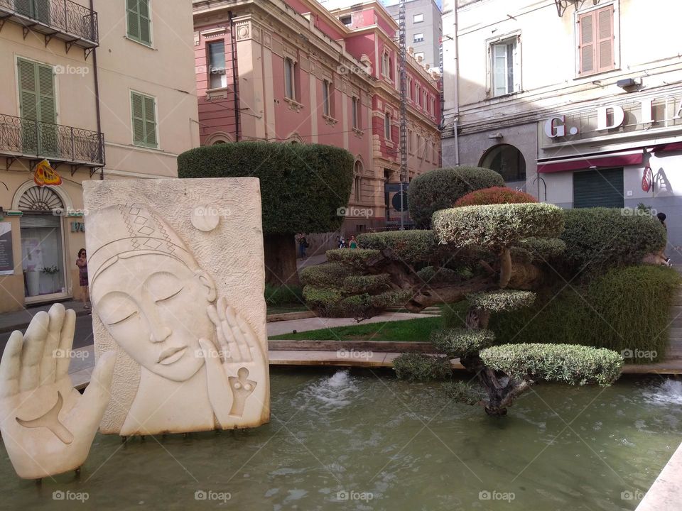 Editors' Choice - Photo of the Week