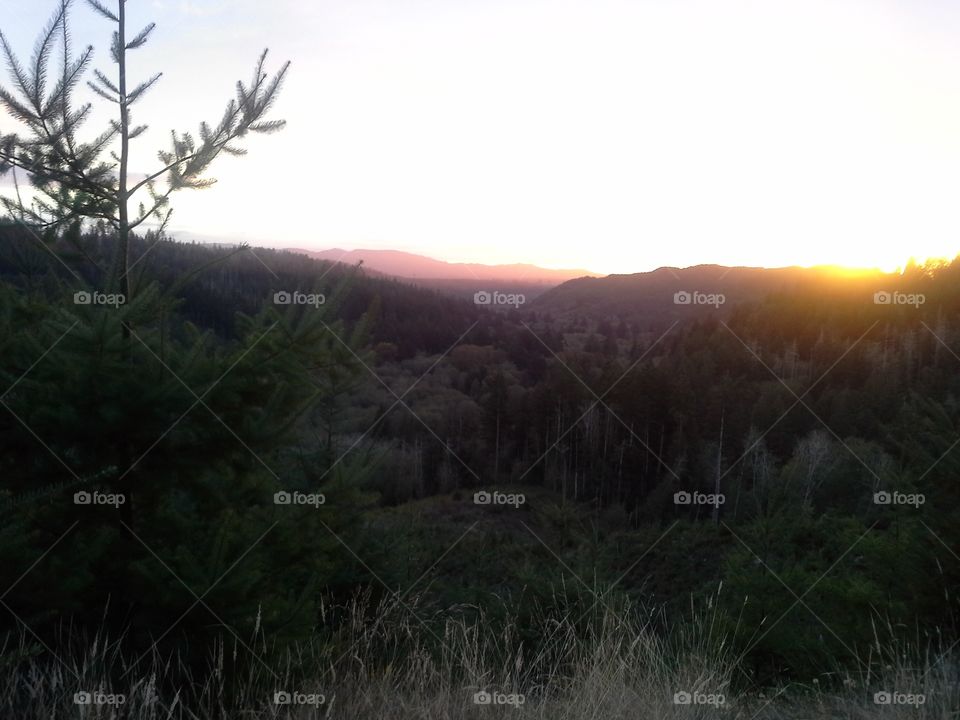 Sunset in the logging roads.. An evening spent with my family practicing shooting a gun.