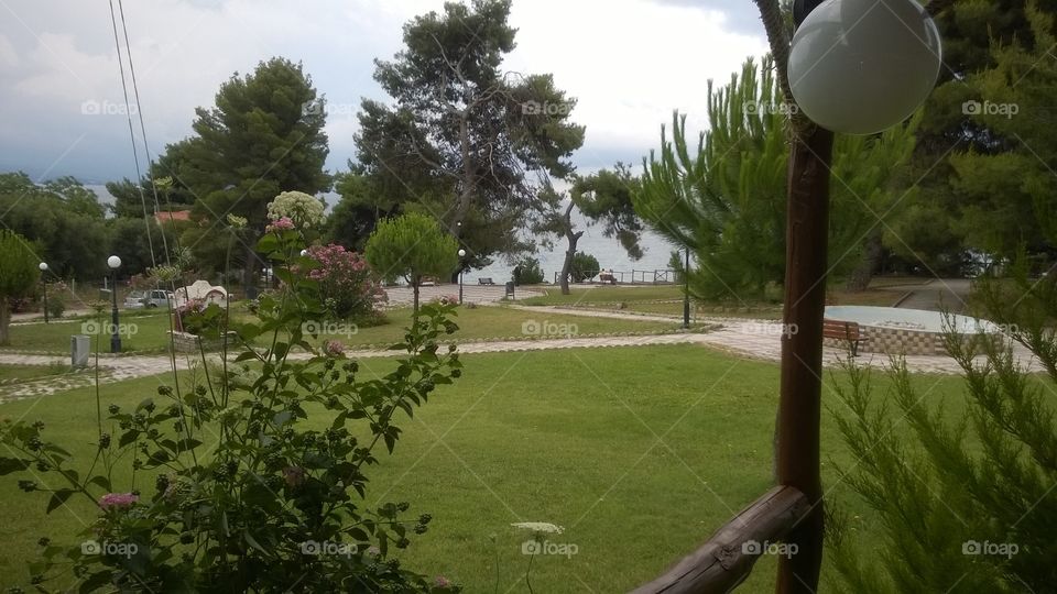 Forest near beach in greece