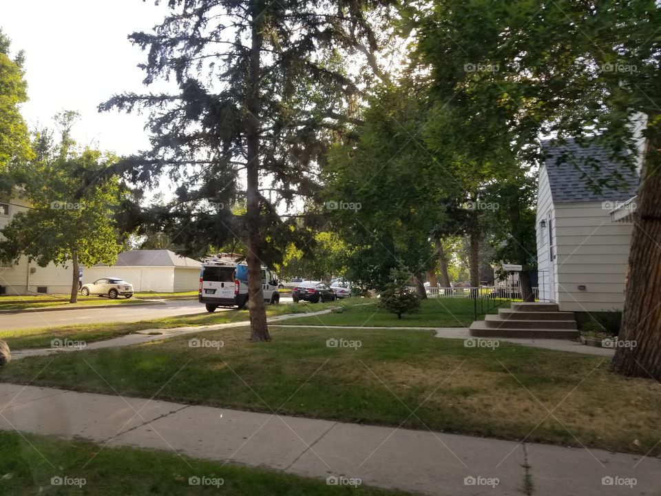 Road, Home, Tree, Building, Environment