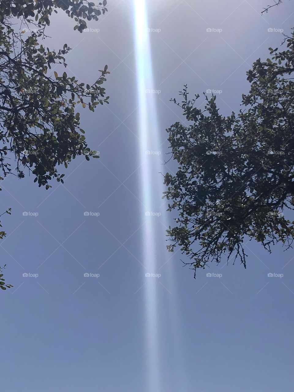 In Texas this morning it was a mess- nasty storm! This afternoon the sun is beating down and lighting everything up! The suns beam is so strong, it splits the pic down the middle - amazing! ☀️