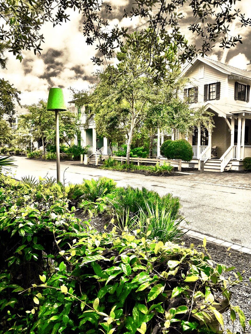 Lust green landscape 