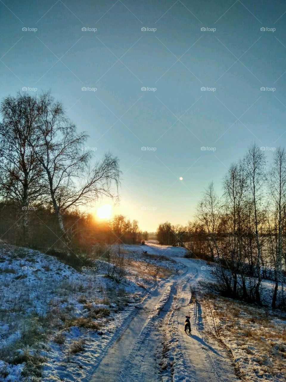 winter path
