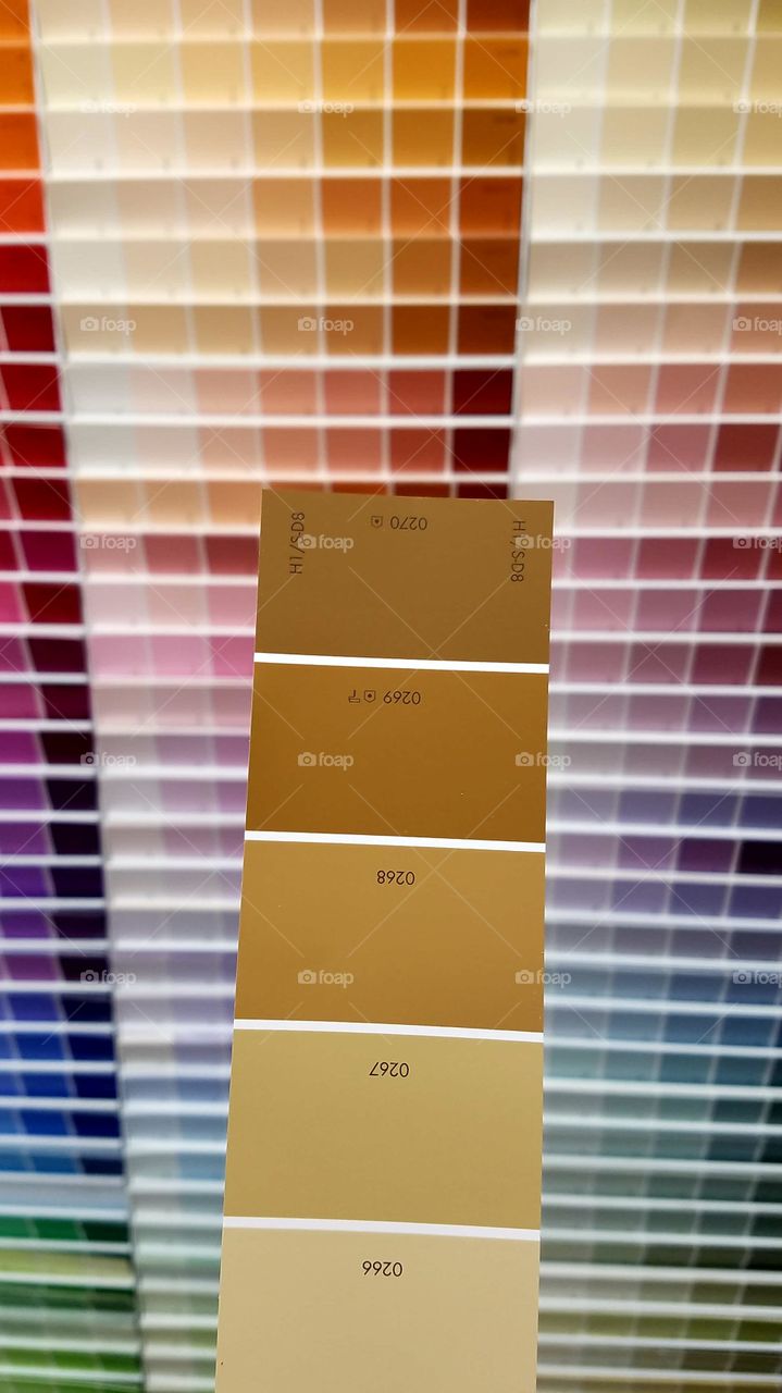 picking out colors to paint home Interior