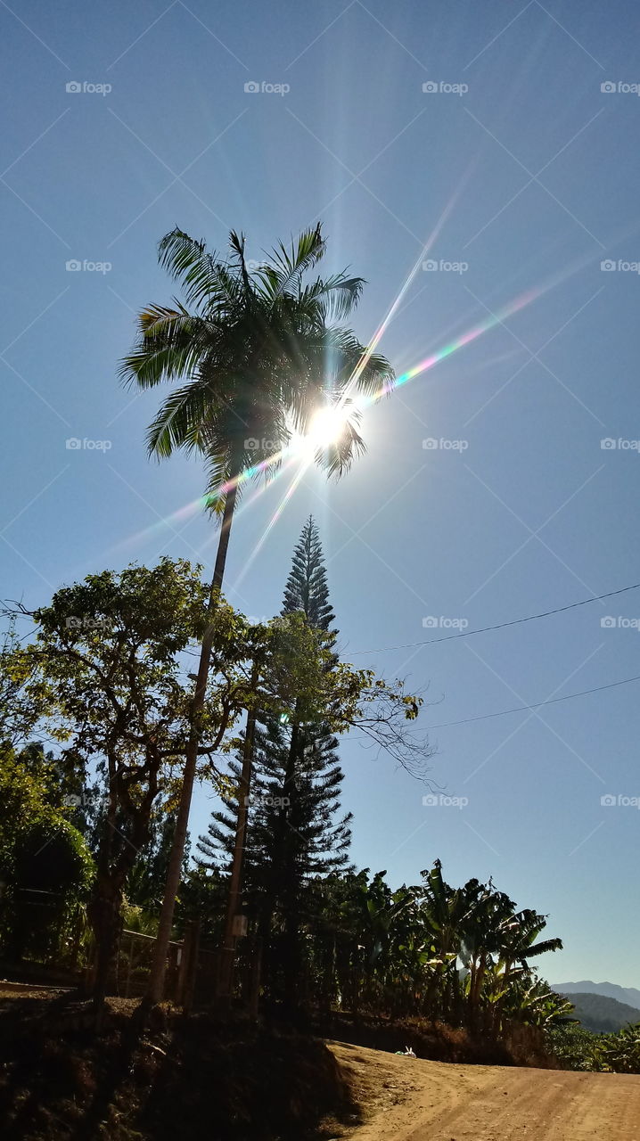 Häppchen Tag, Sonnenschein, Umwelt, Ökotourismus, Gutes Wetter, Sonnig, Pflanzen, ökologisch, natürliches Licht, Sonne, Sonnenstrahlen, Landschaft