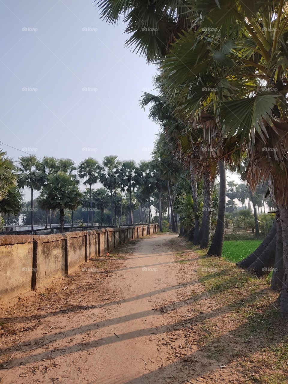 The unpaved way of going from one village to another.