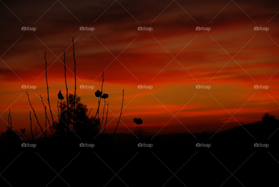 The vibrant colors of the sunset from the porch!