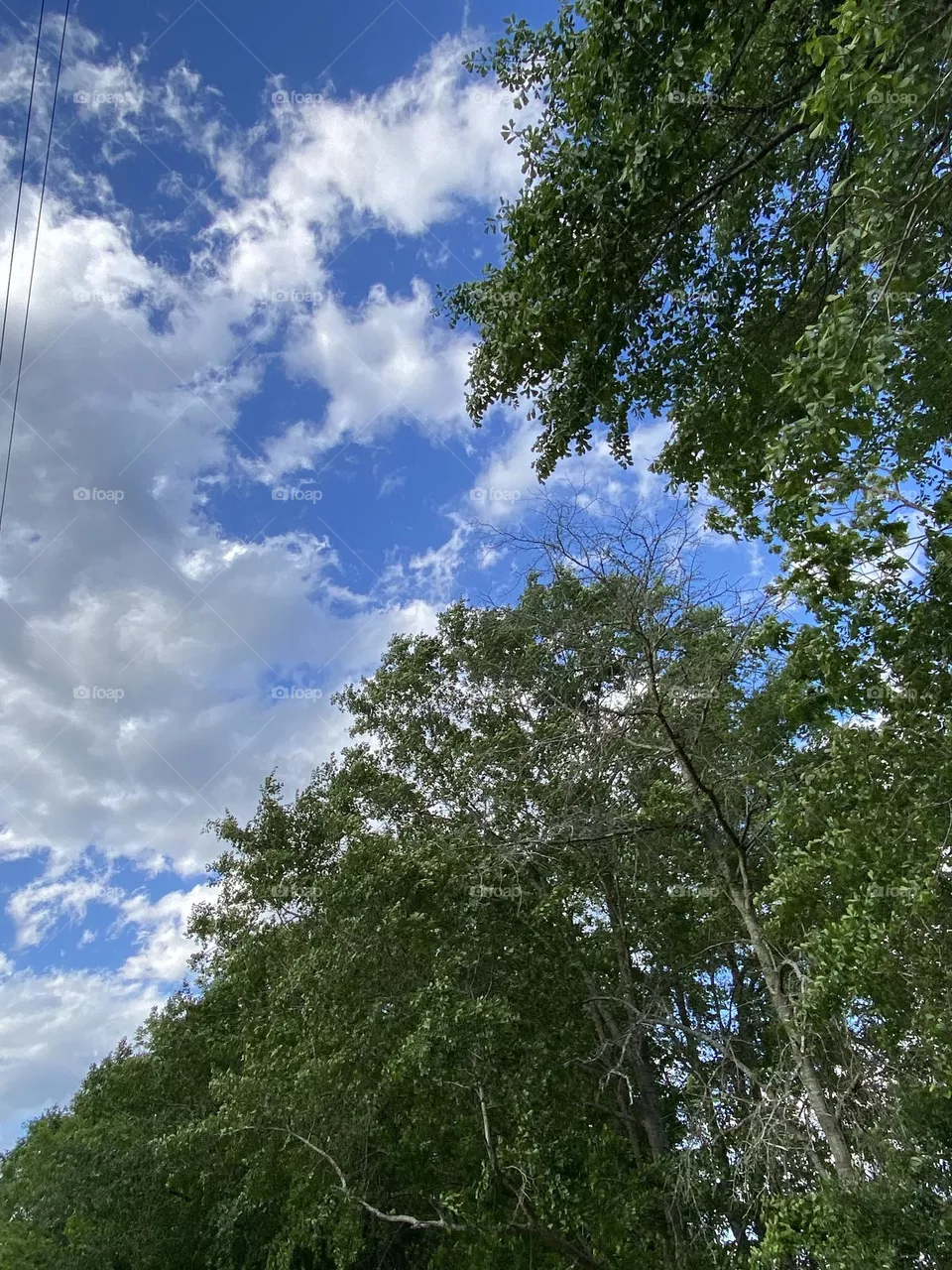 A beautiful day 