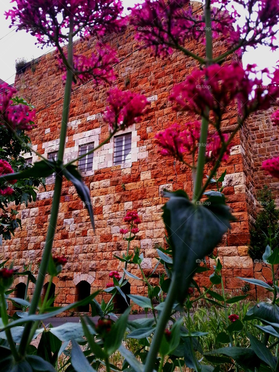 Hello
Please like my pictures and follow me
Thank you