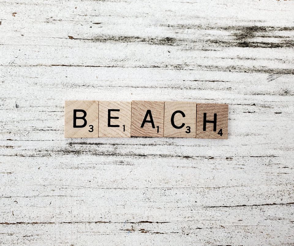 Square wooden word have a beach day and seashells on a rustic white background 