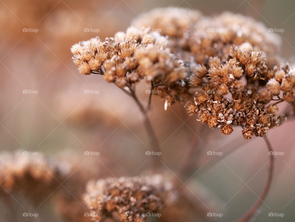 Autumn is around the forest