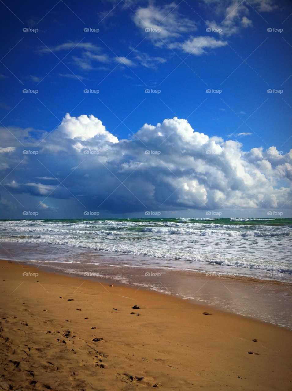 beach ocean sky green by cyrano