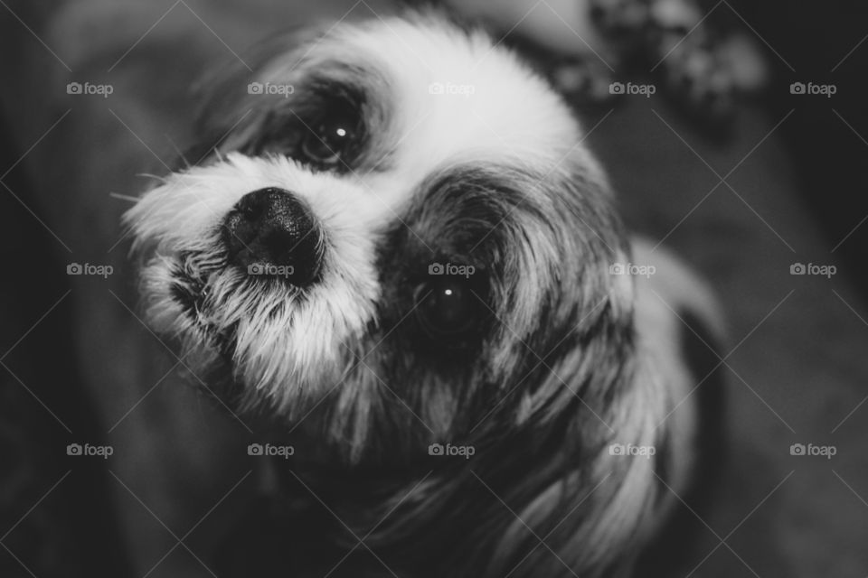 Some things just fill your heart without trying to