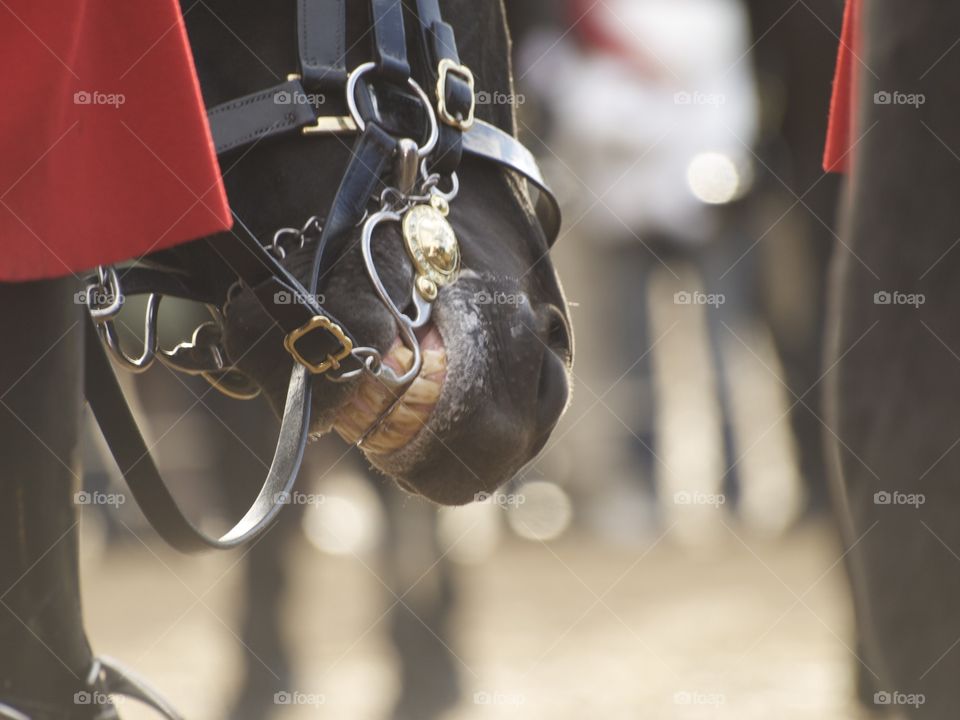 Cambio de Guardia