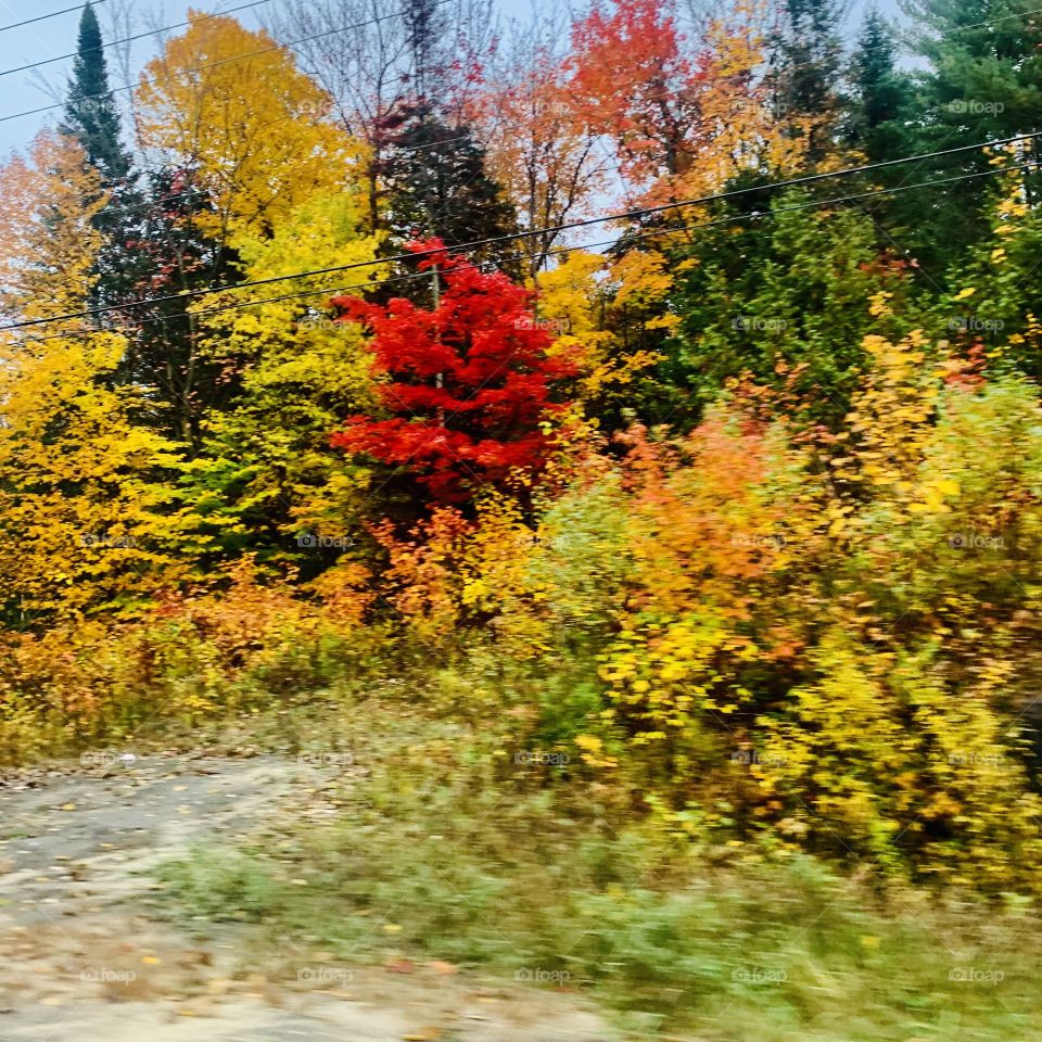Autumn in Quebec 🍂