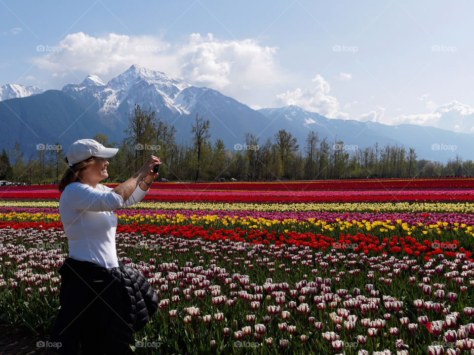 Tulip Capture. Fraser Valley Tulip Festival