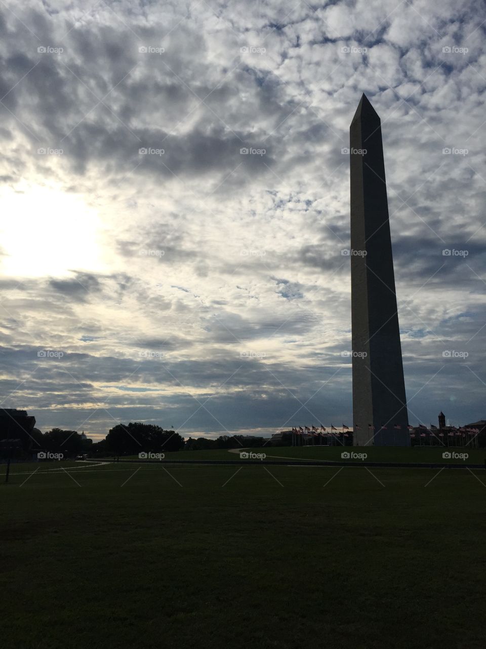 Morning at the Monument 