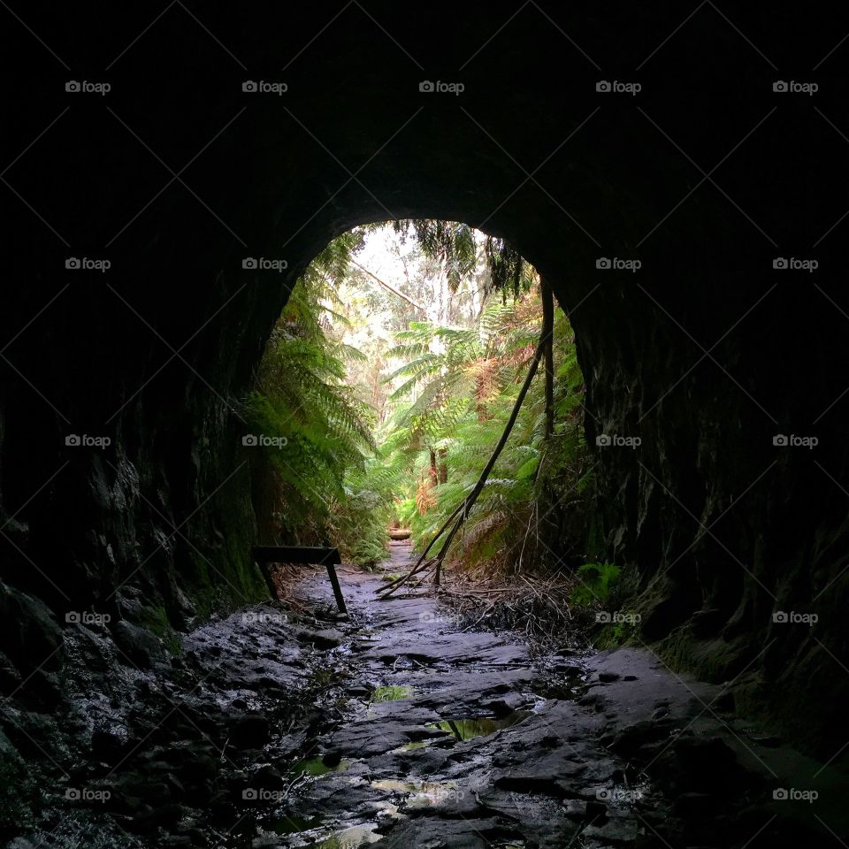 Tunnel vision. Old train tunnel emerges into the Forest