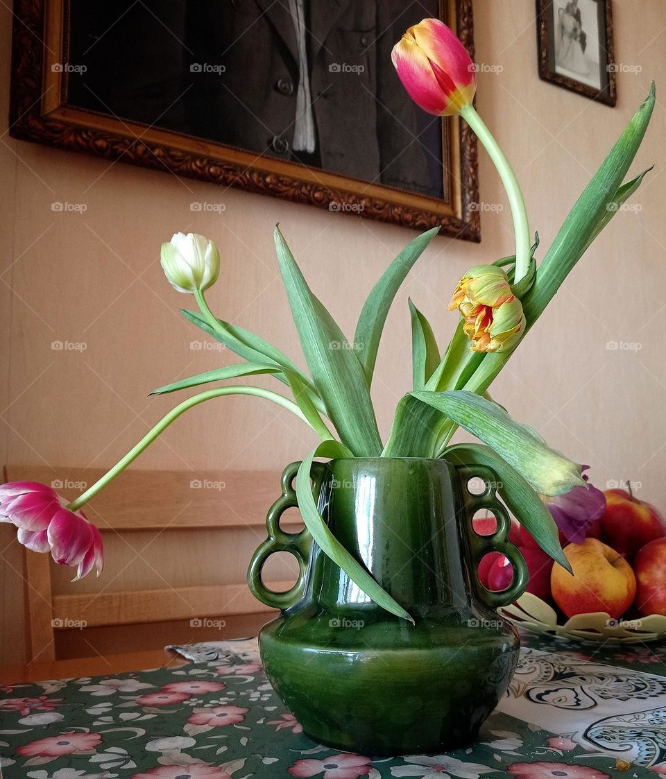 Tulips in vase